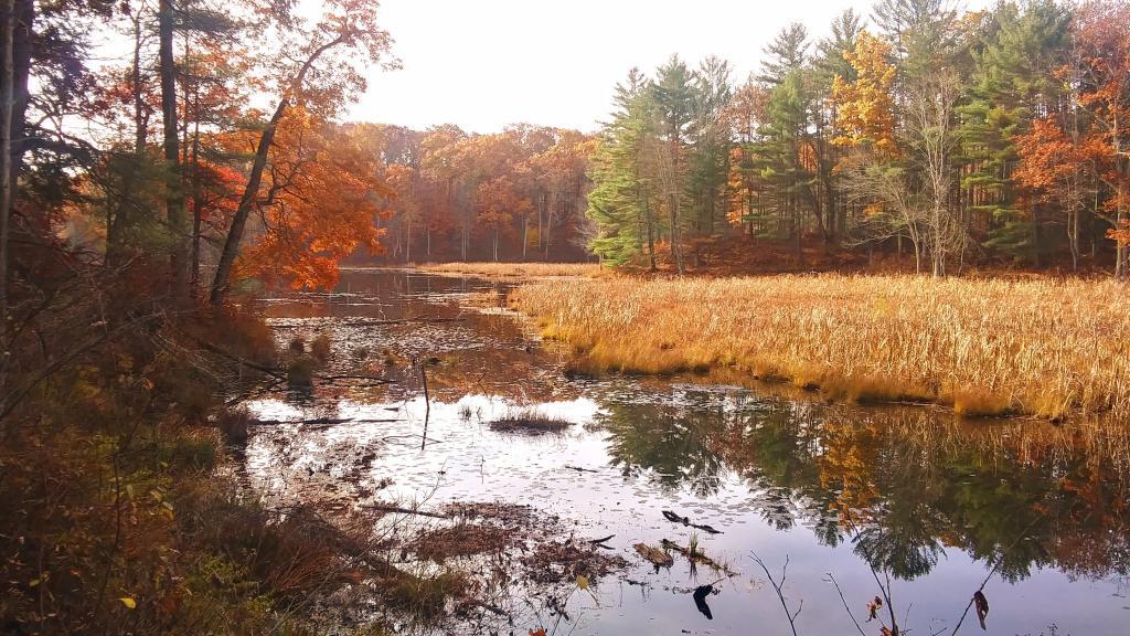 Photo: Lily Lake