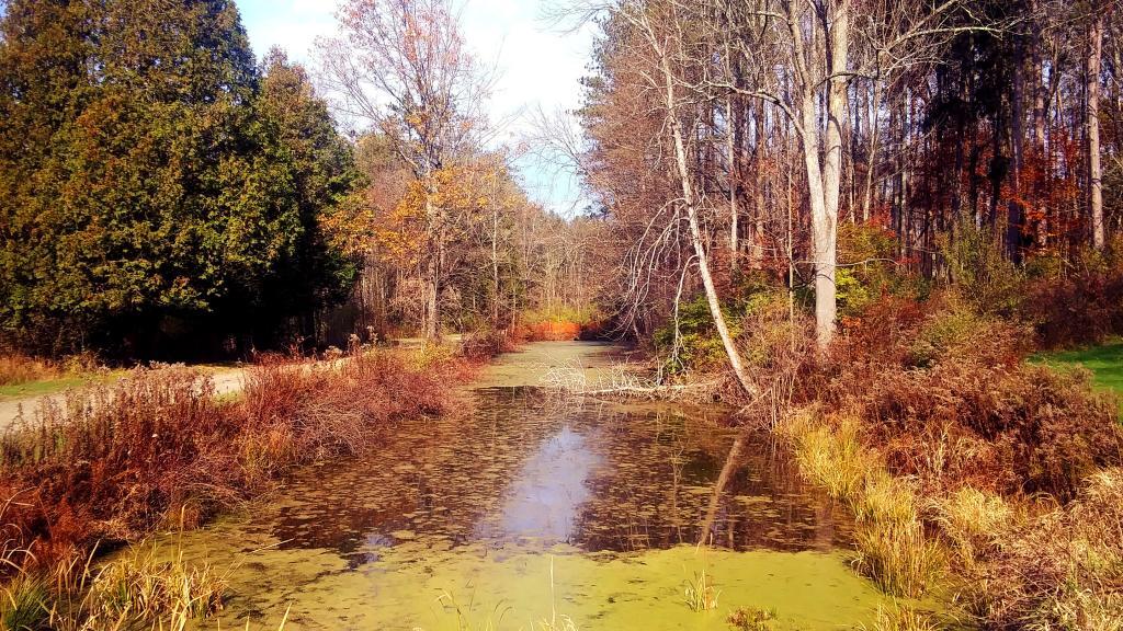 Photo: Old Chenango Canal