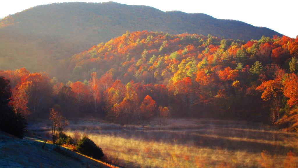Photo: Morning at Camp Run Lake