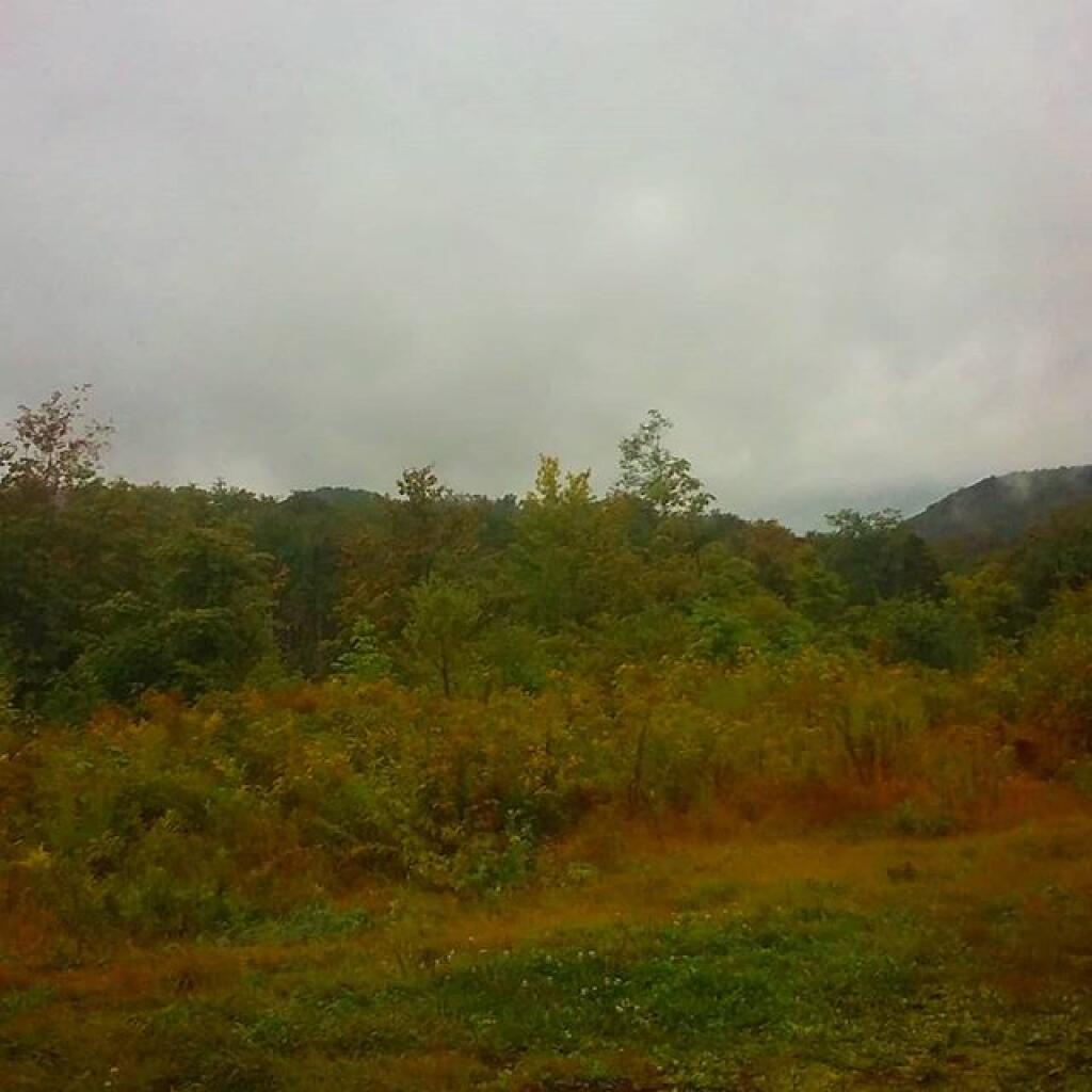 Photo: The sun ain't going to shine anymore