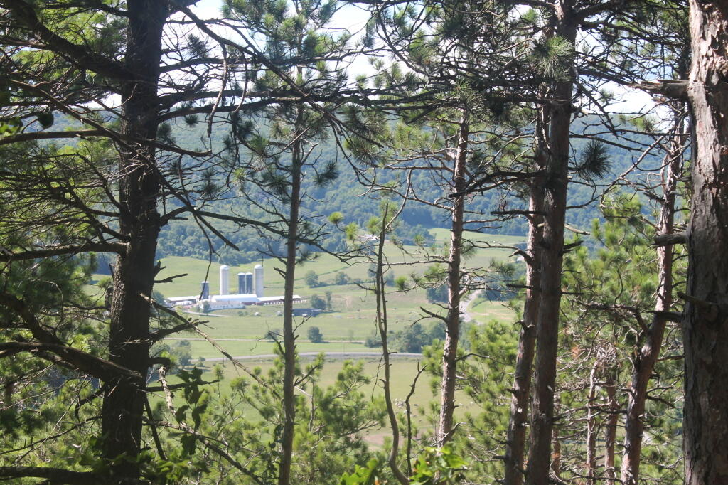 Photo: View of Meadowbrook Farm from Top