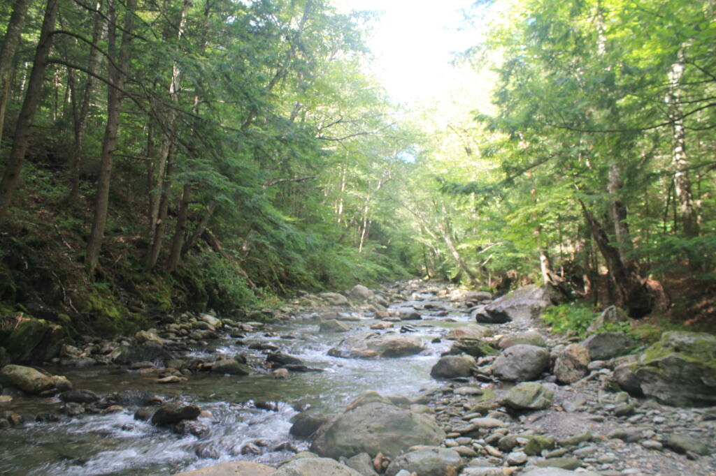 Photo: Pleasant day