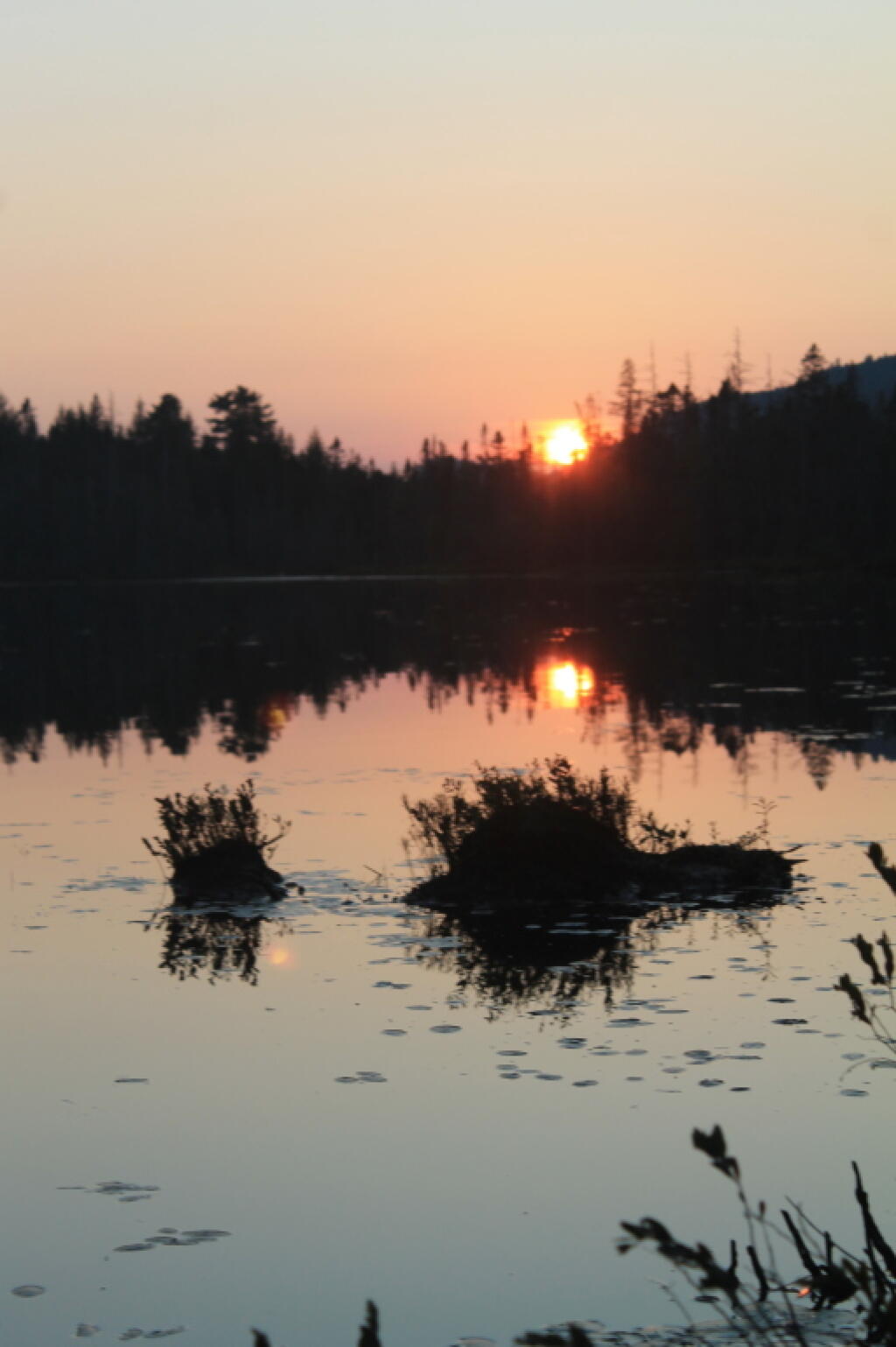 Photo: Before Sunset