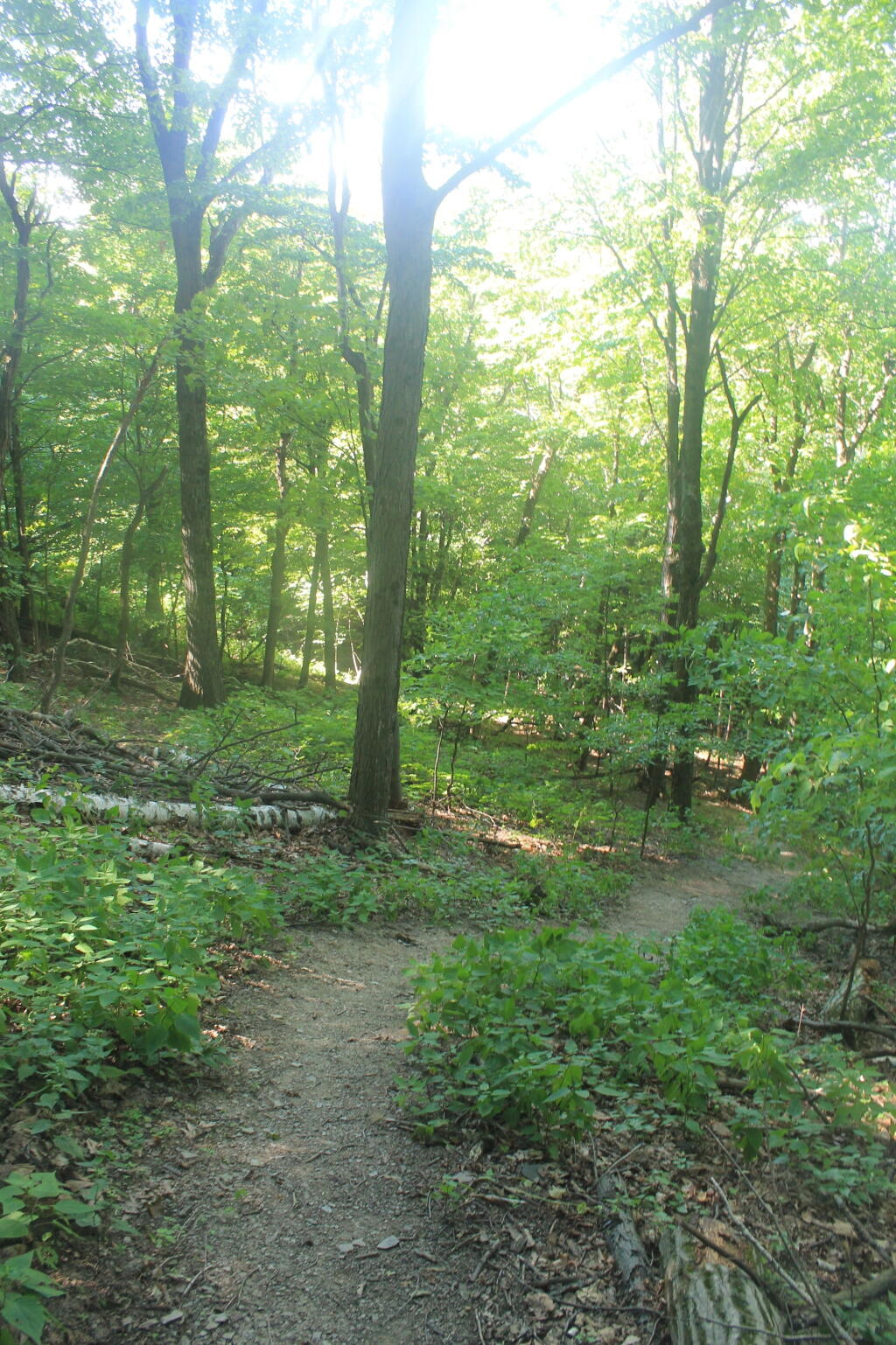 Photo: Heading Back Down the Mountain