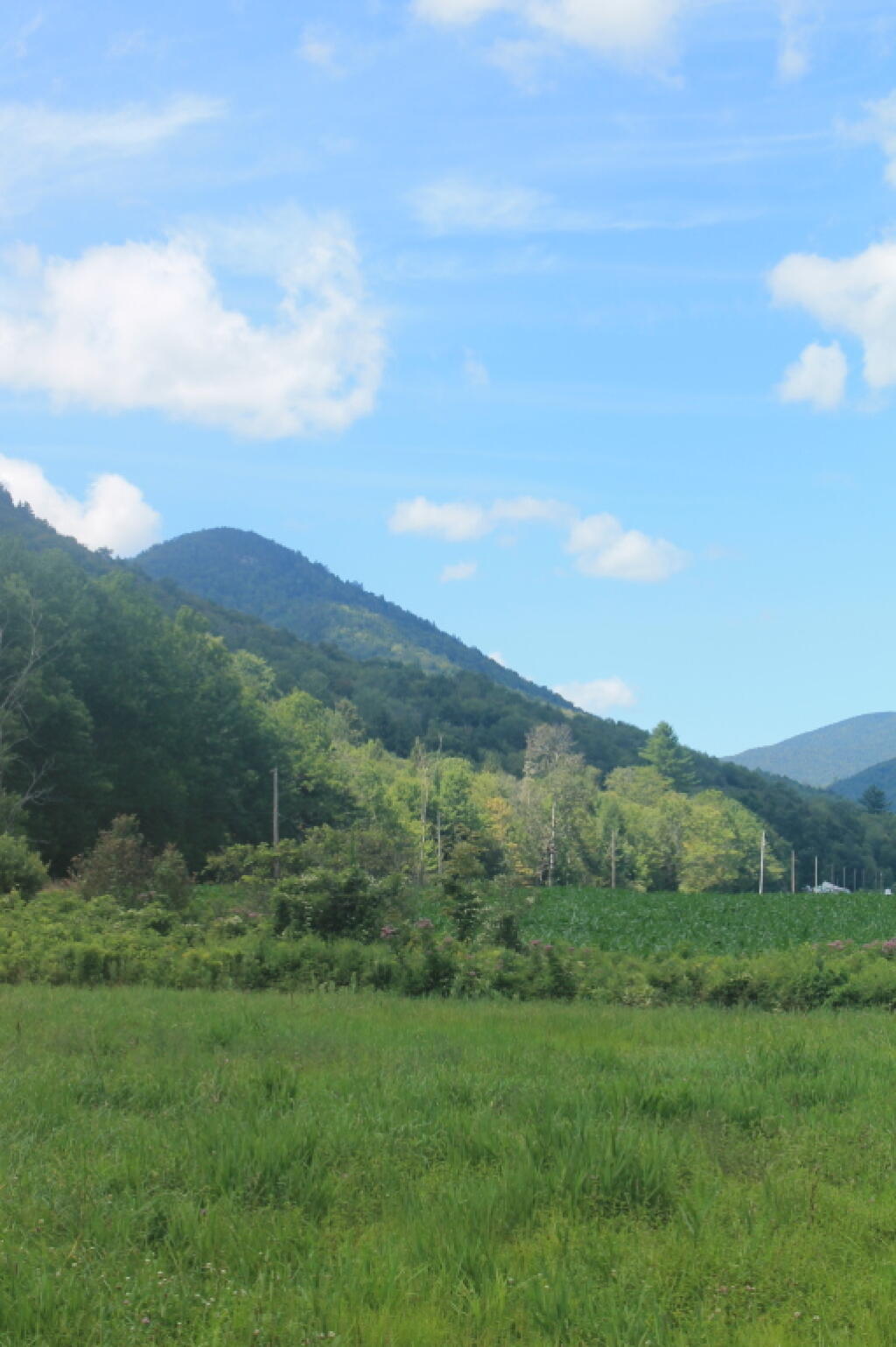 Photo: Little Pico Mountain