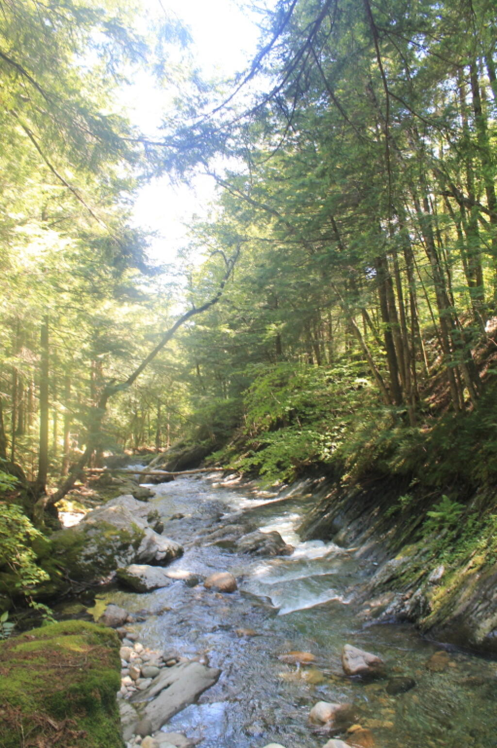 Photo: Hannock Branch of White River