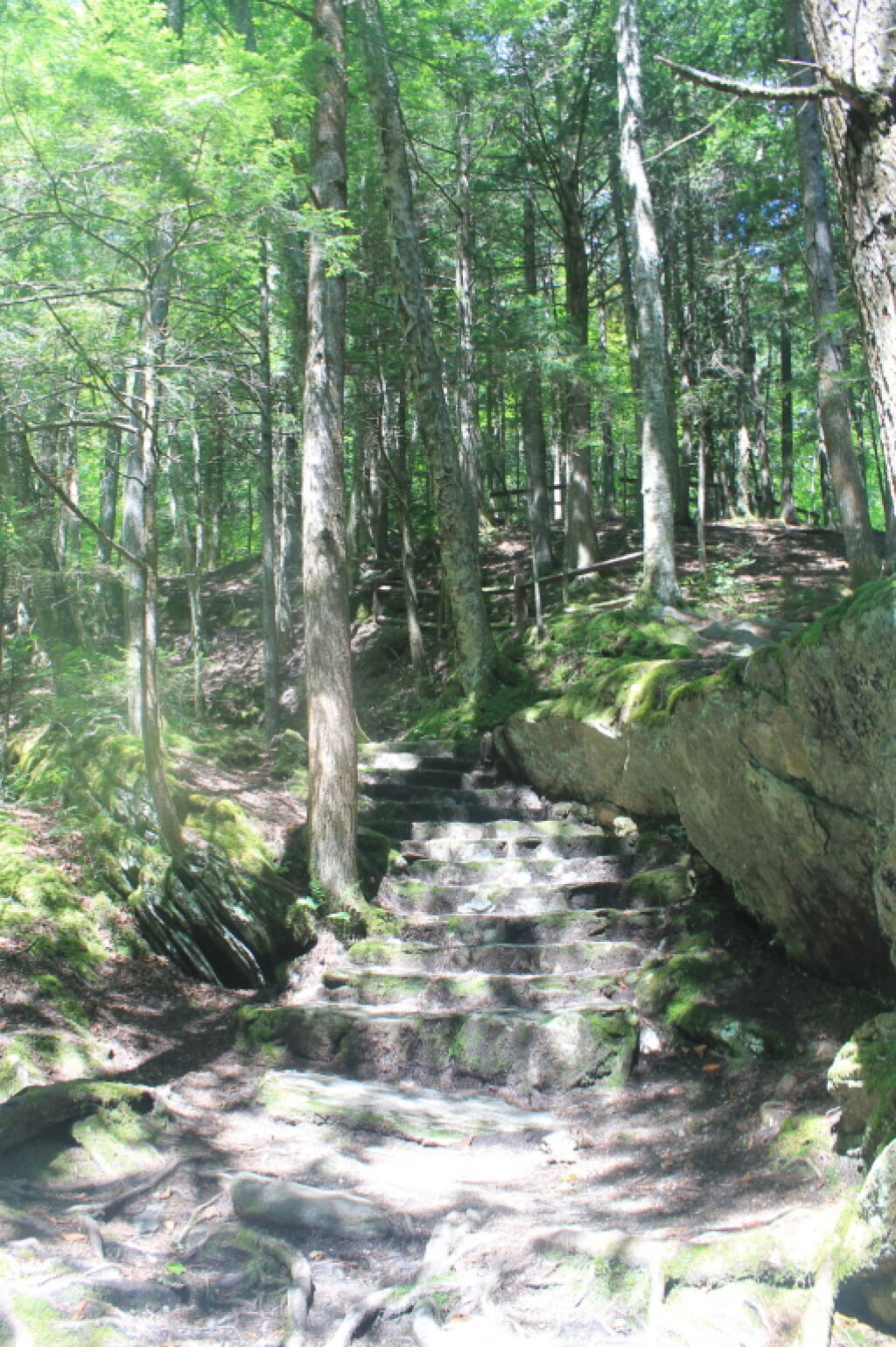 Photo: Steps