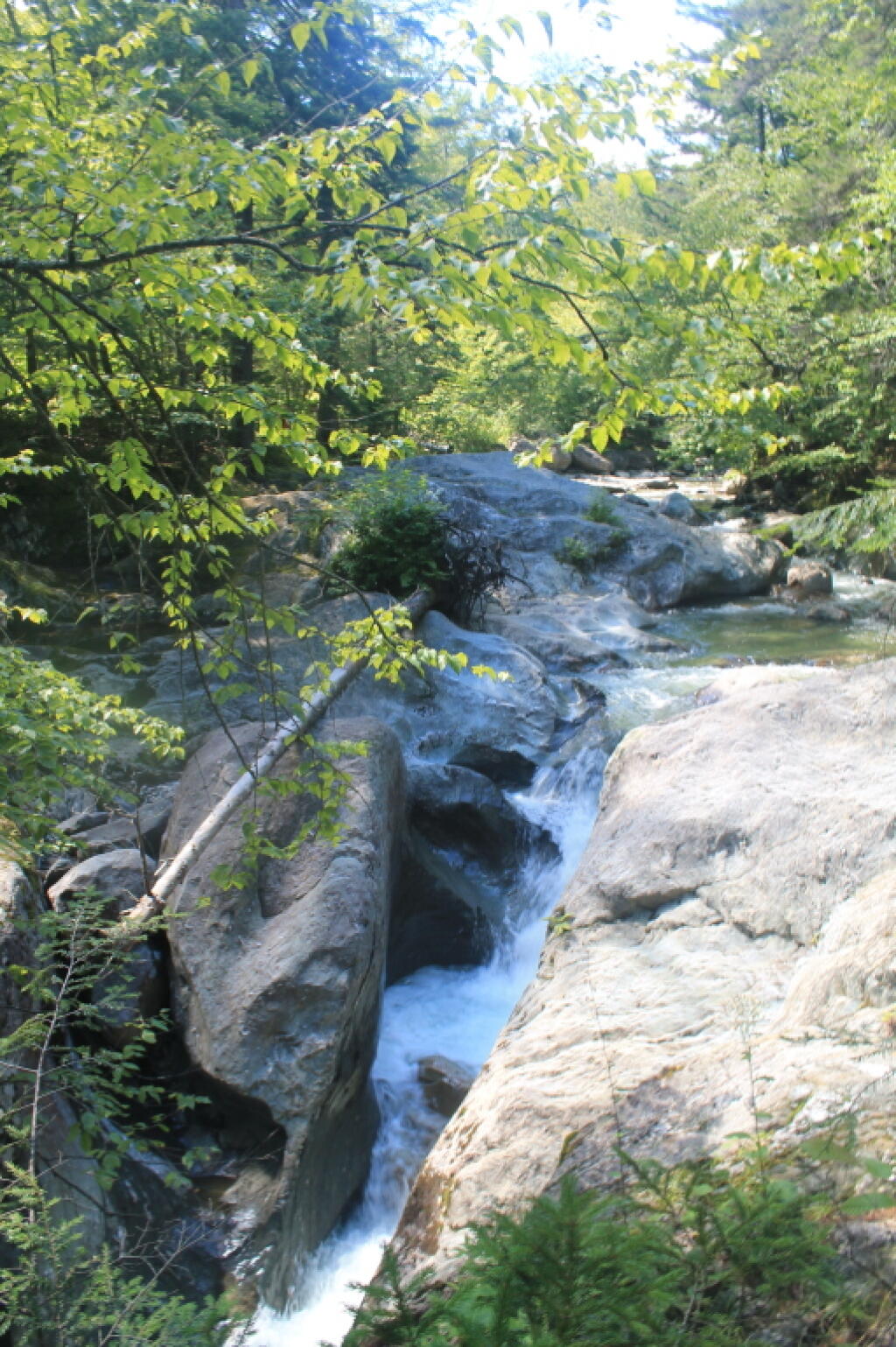 Photo: Upper Falls