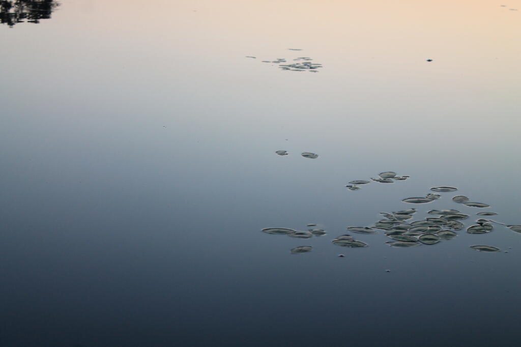 Photo: Quiet Water