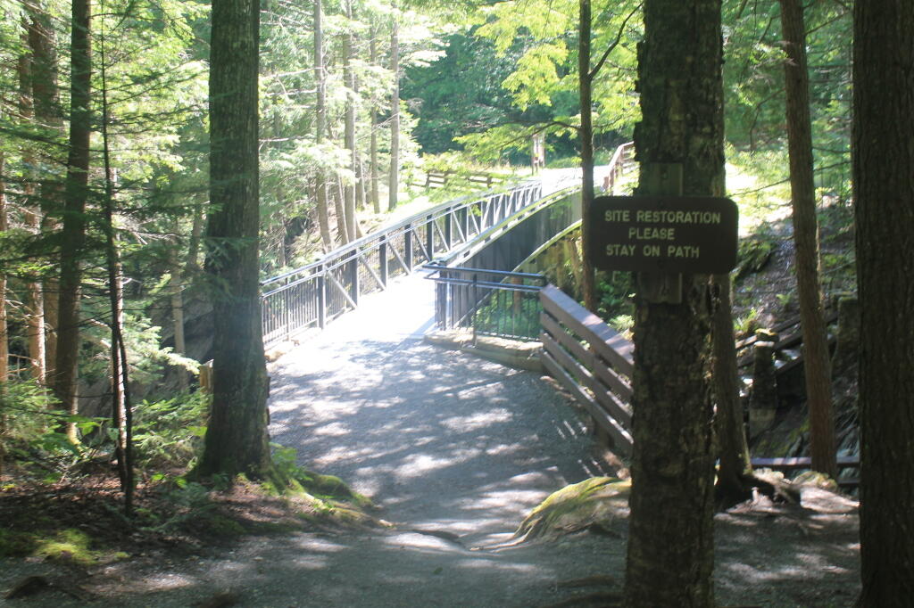 Photo: New Bridge
