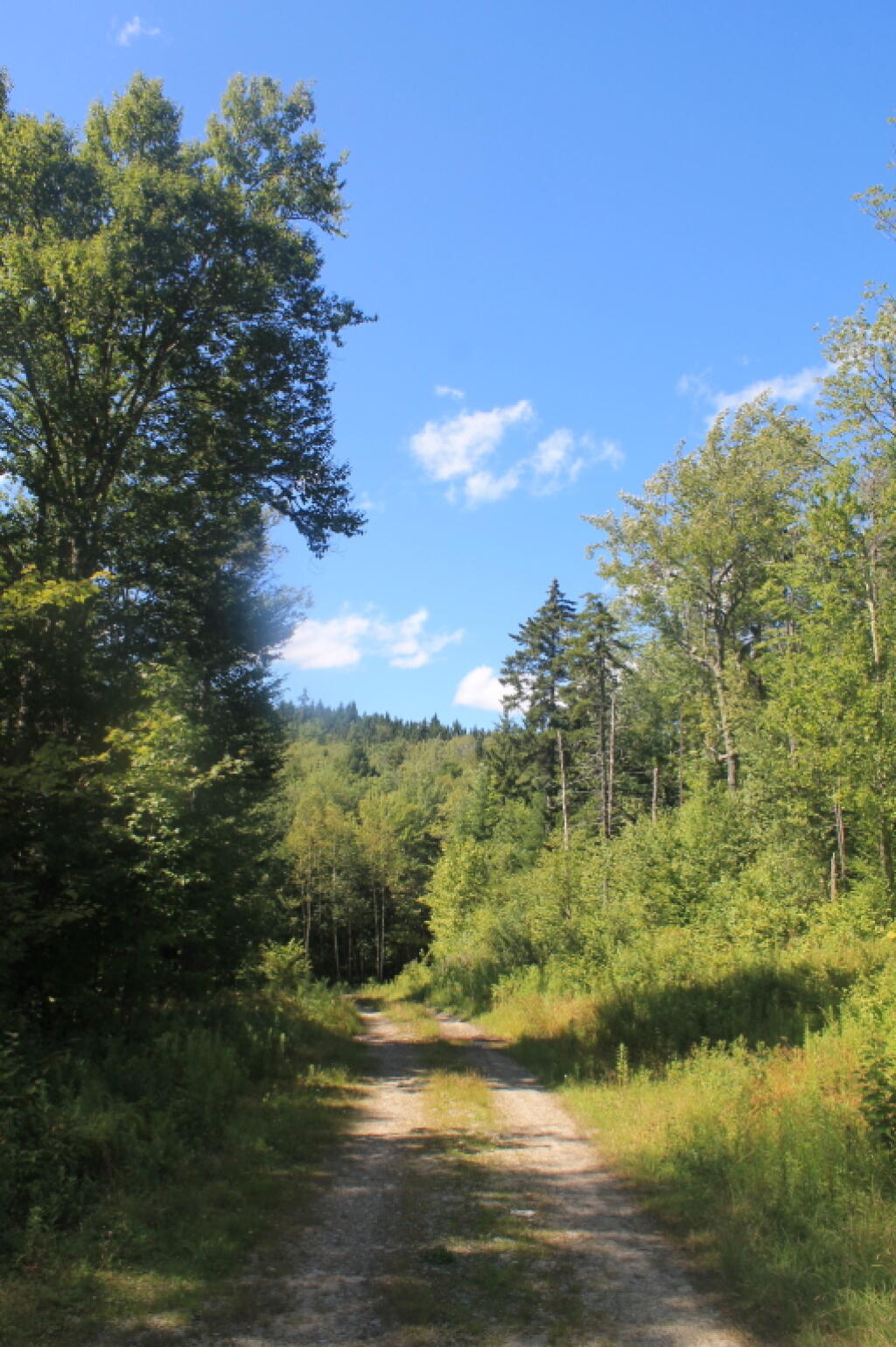 Photo: Nice Day at Texas Falls Campsite