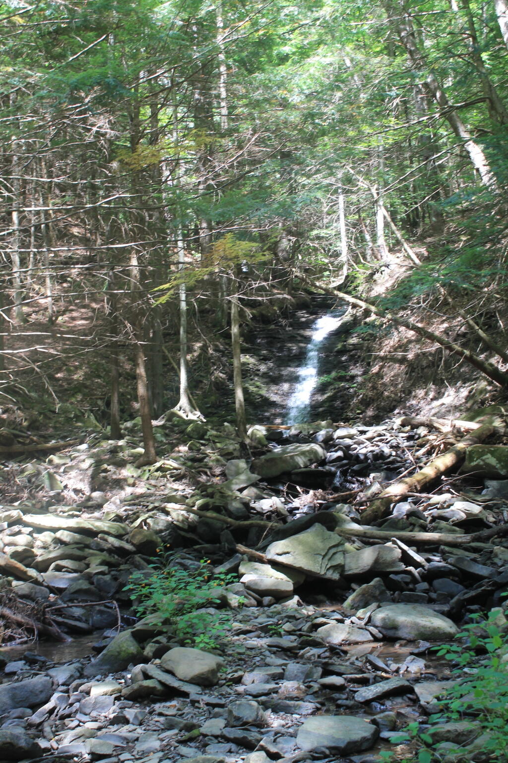 Photo: Small Waterfall