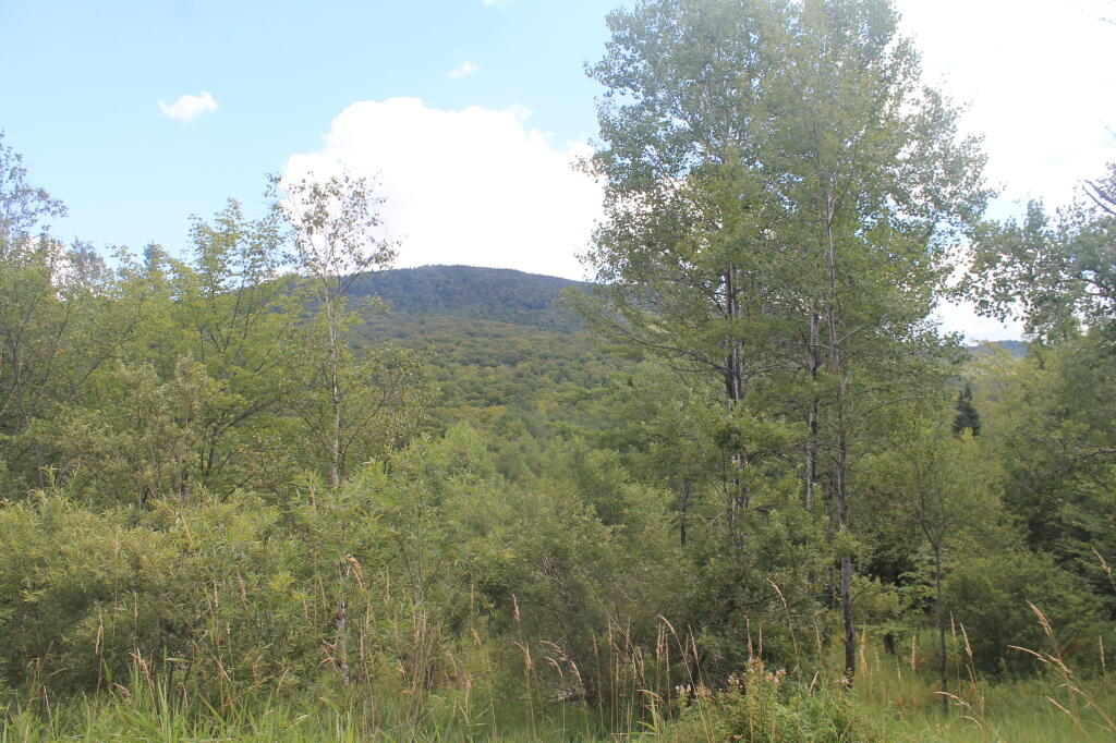 Photo: Breadloaf Mountain