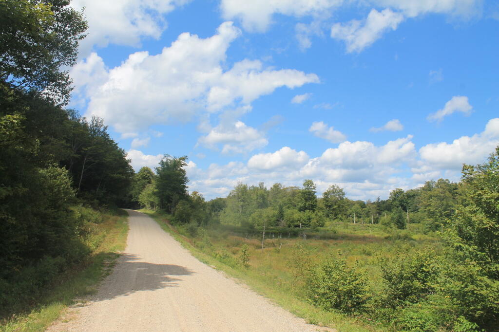 Photo: Along Sparks Brook