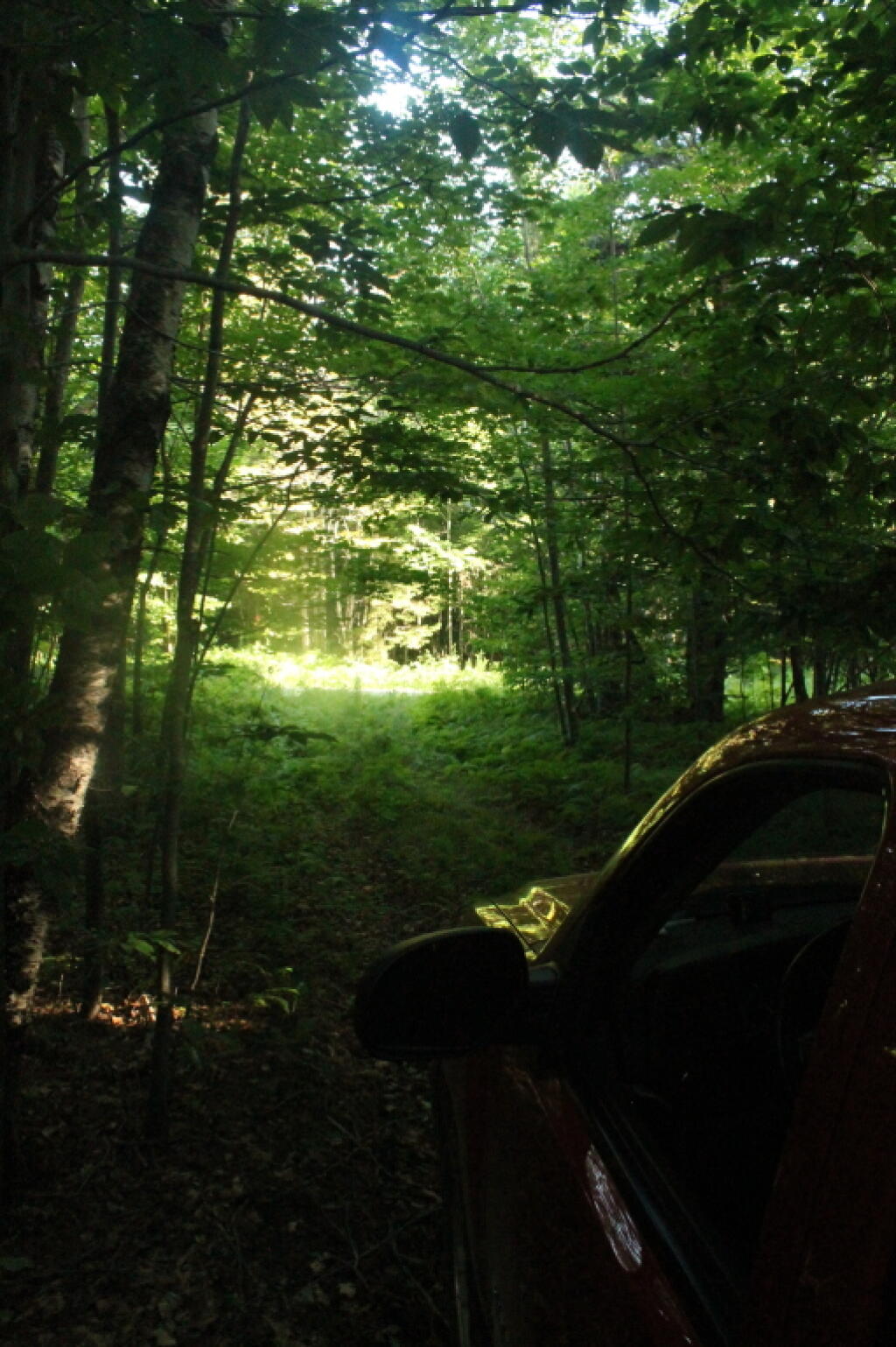 Photo: Steammill Road from Campsite