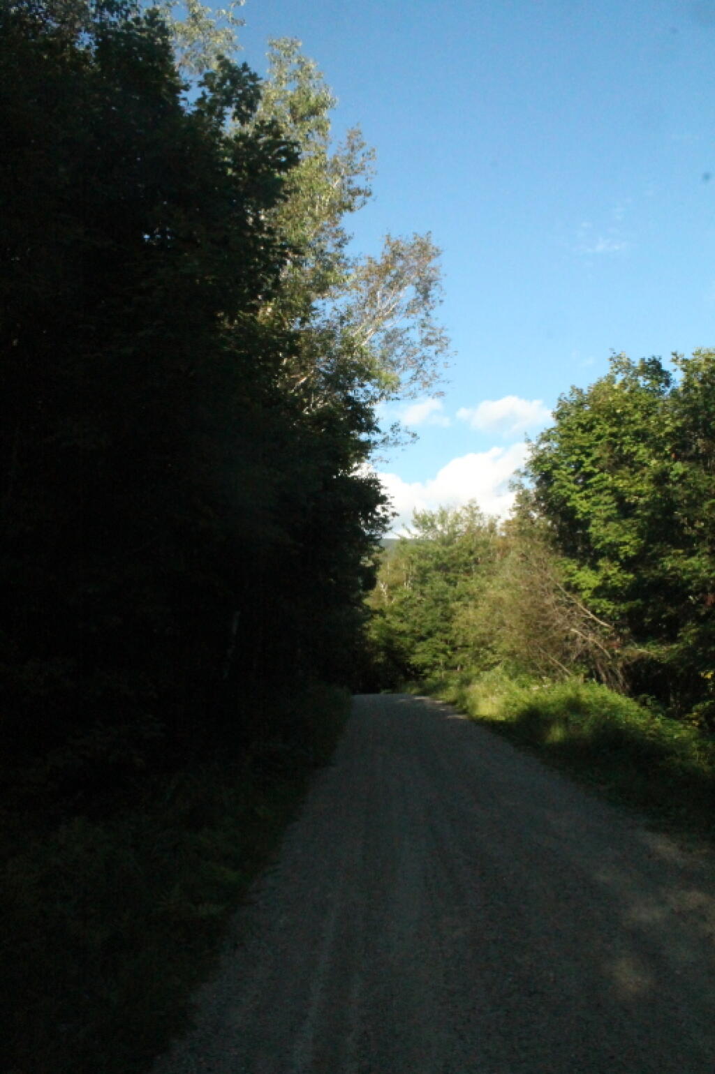 Photo: Steam Mill Road