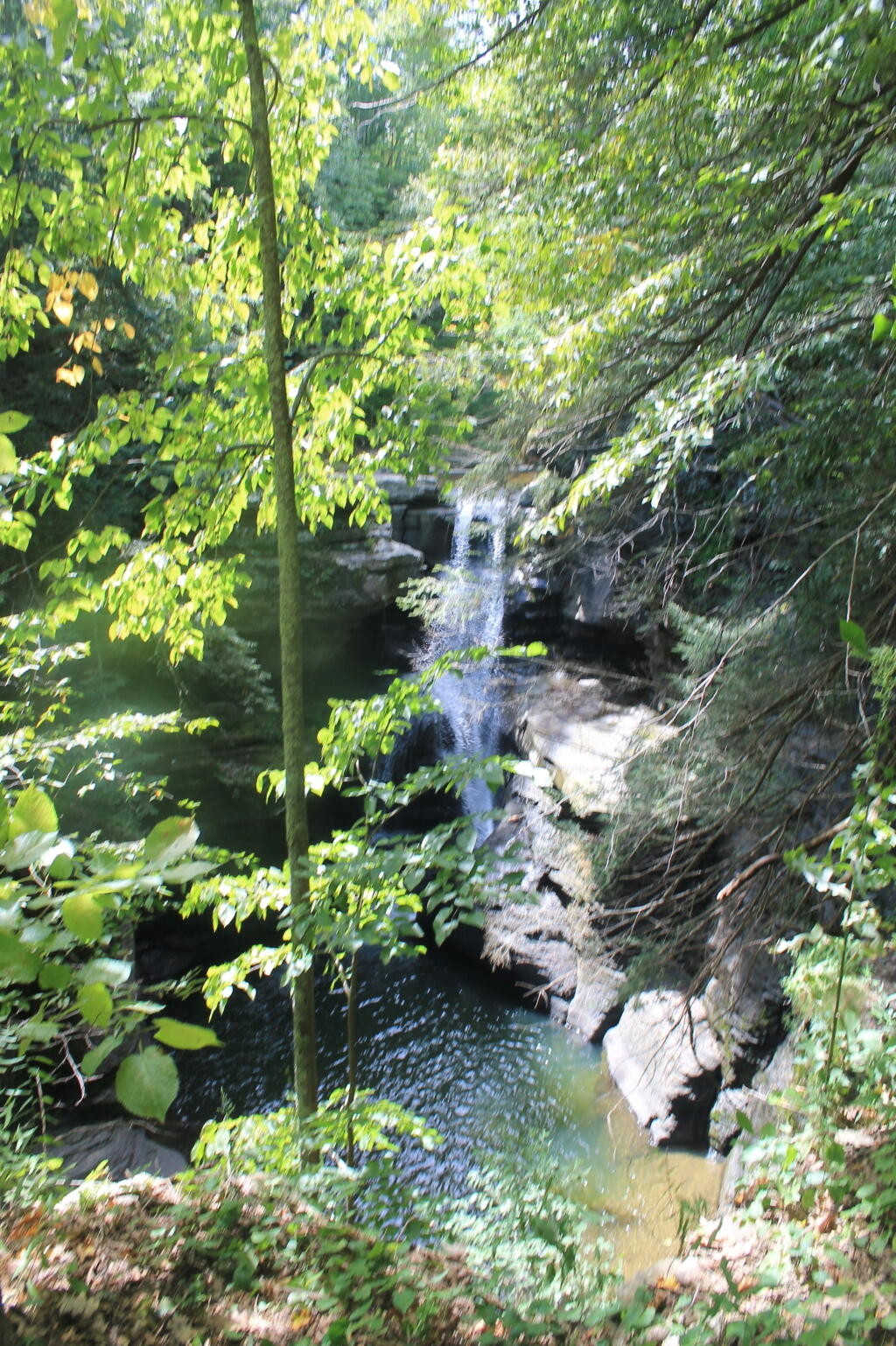 Photo: Middle Falls from Long Path