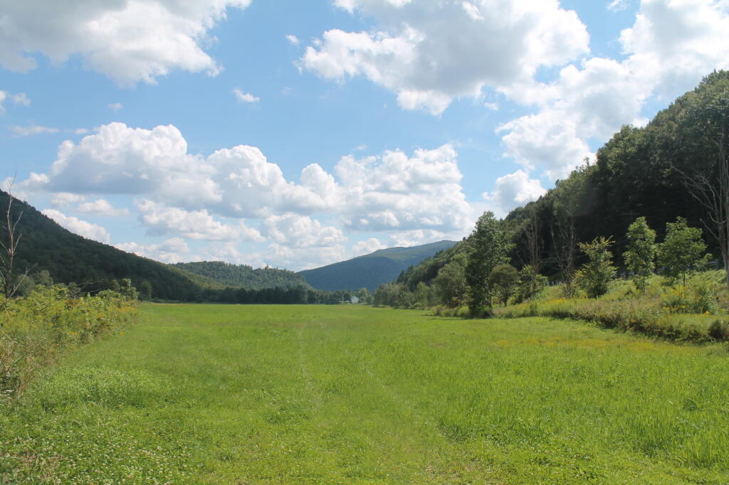 Photo: Fields
