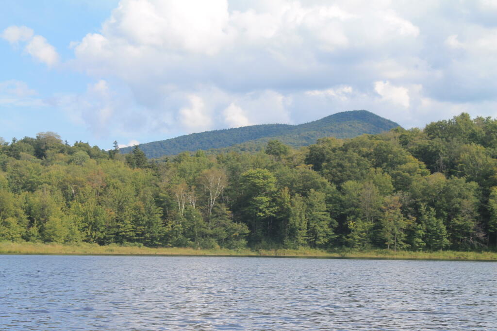 Photo: Gillipese Peak