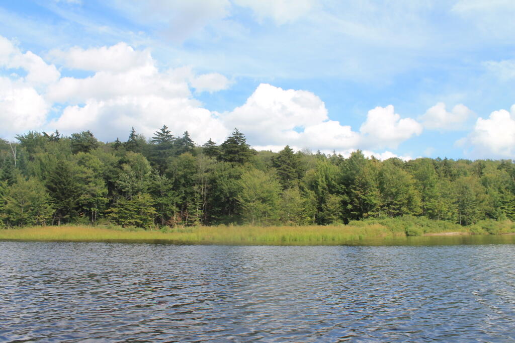 Photo: Shoreline