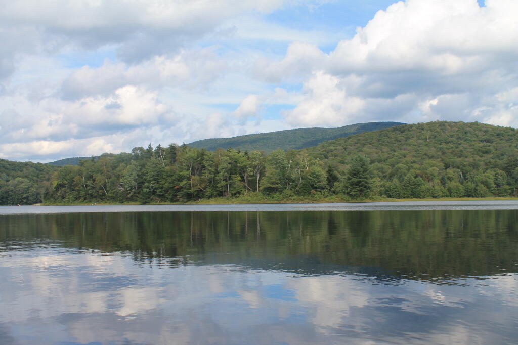 Photo: Reflections