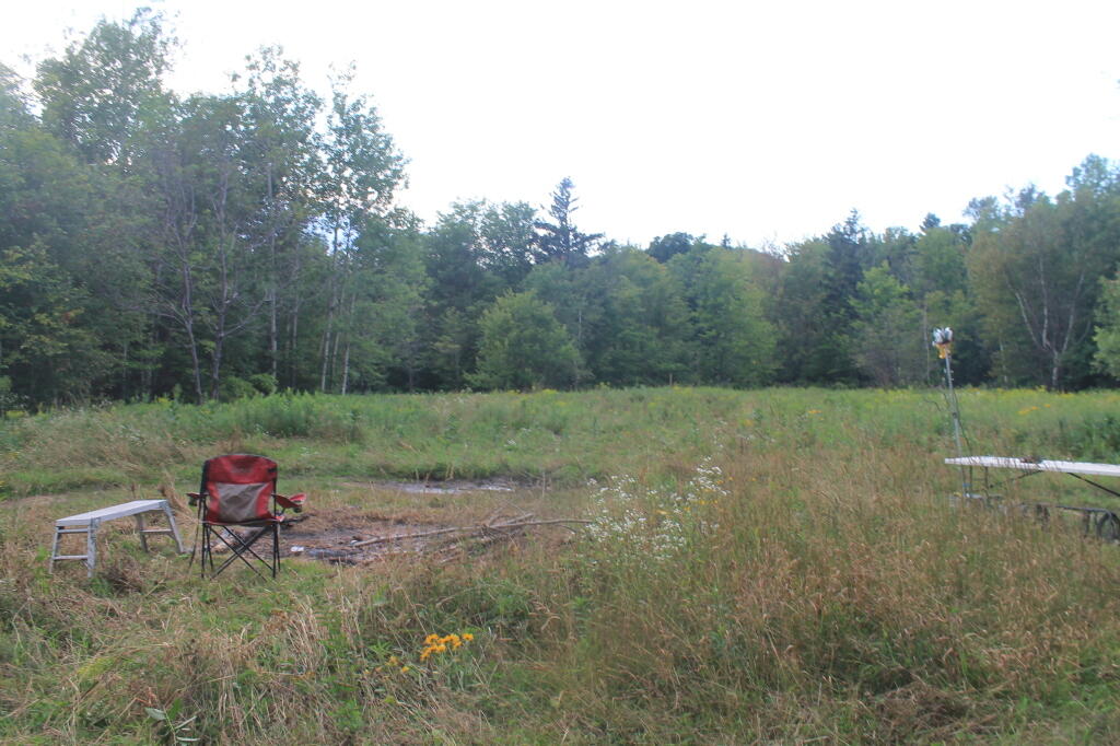 Photo: Field Camping at Romance Header Campsite