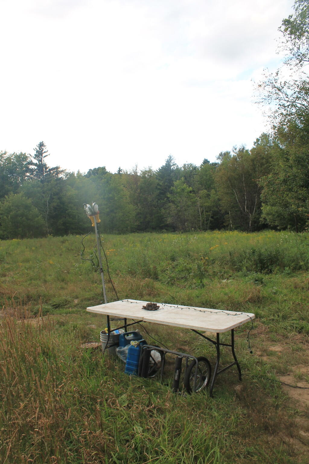 Photo: This Works for Hanging Up the Without Trees