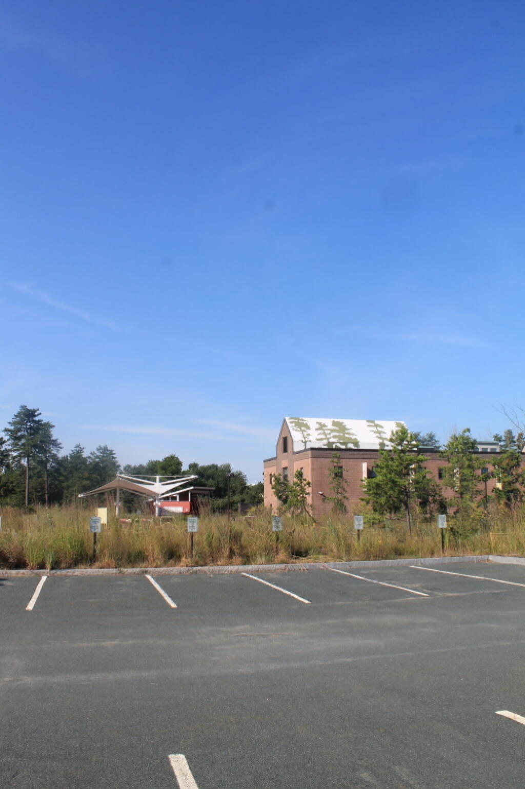 Photo: Parking Lot Waiting for Hike to Start