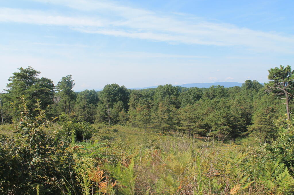 Photo: View from Overlook Dune
