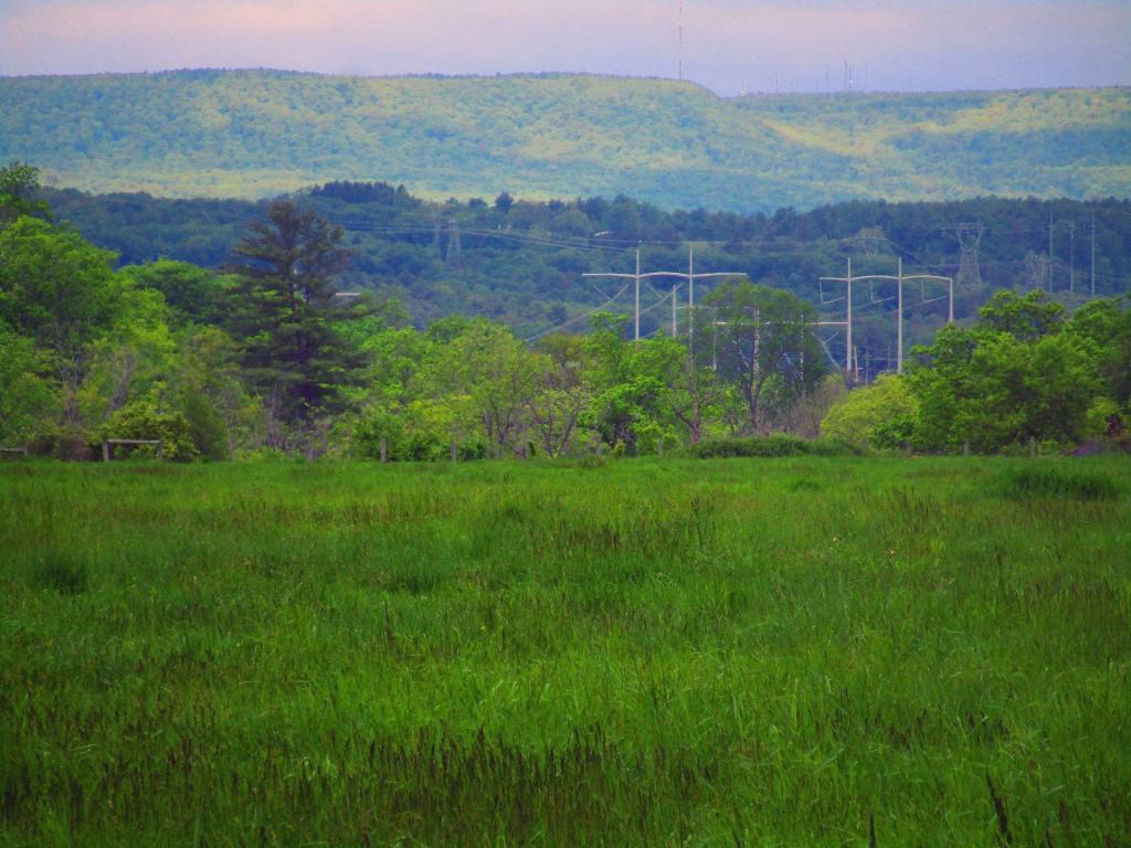 Photo: Meads Road