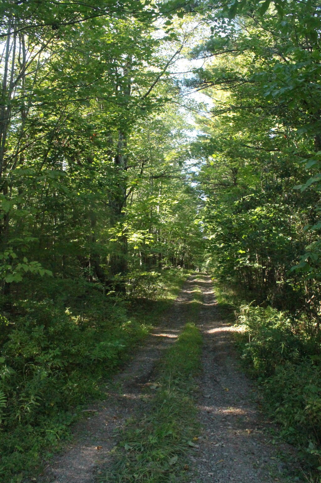 Photo: Rivenberg Road