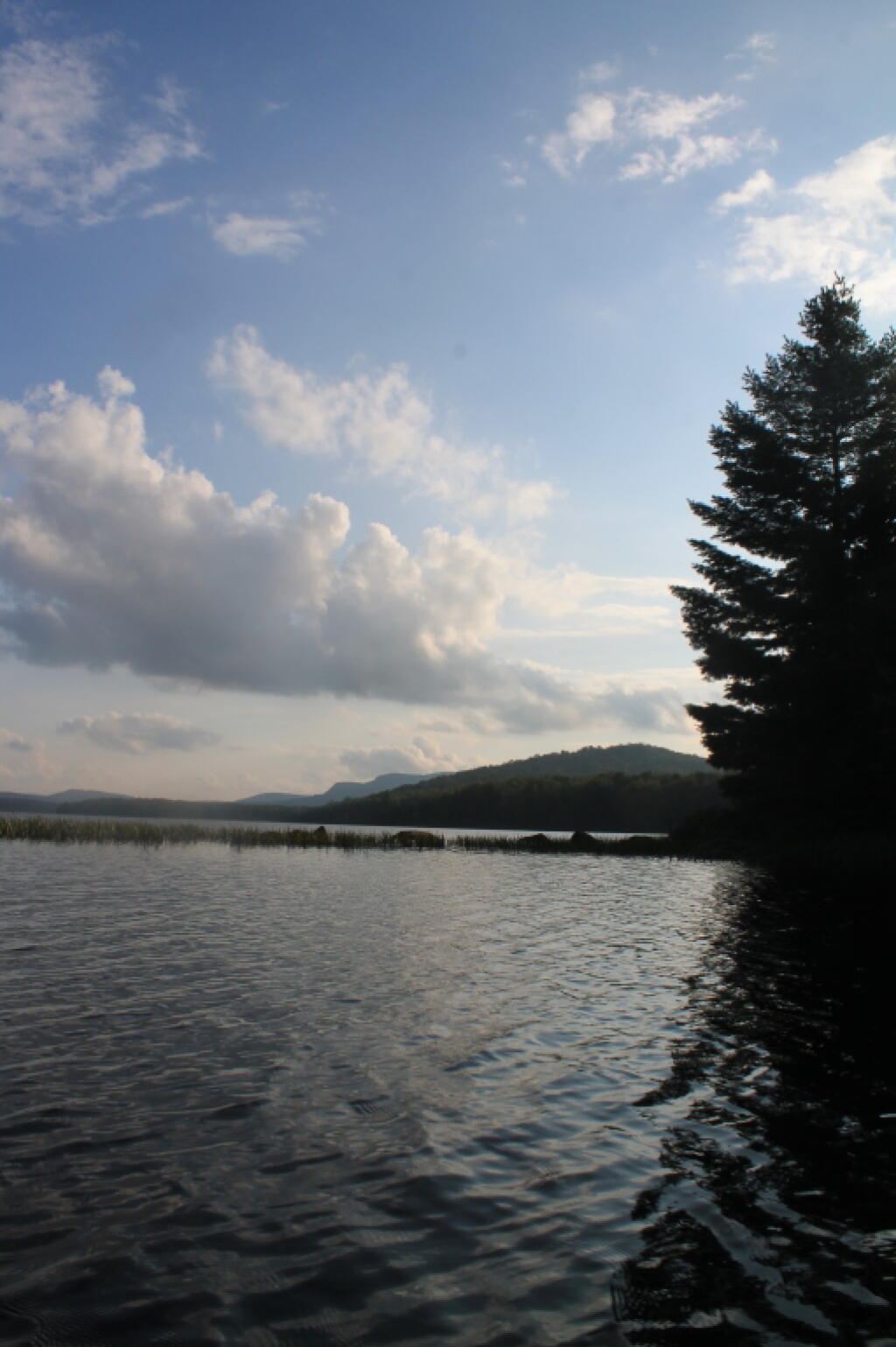 Photo: Shadows Over Sturges Hills