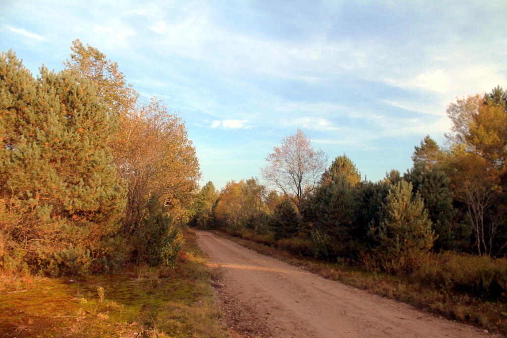 Photo: Confusion Flats Road