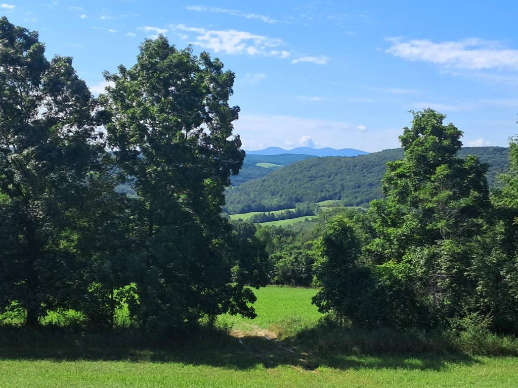 Photo: Catskills