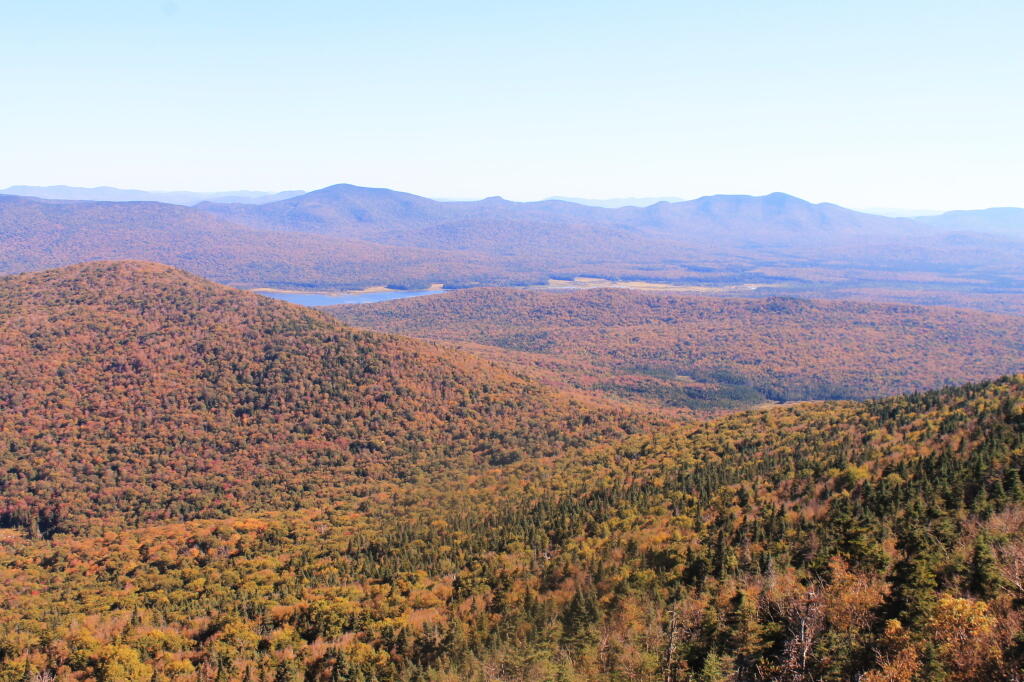 Photo: Cedar River Flow and Moose Plains