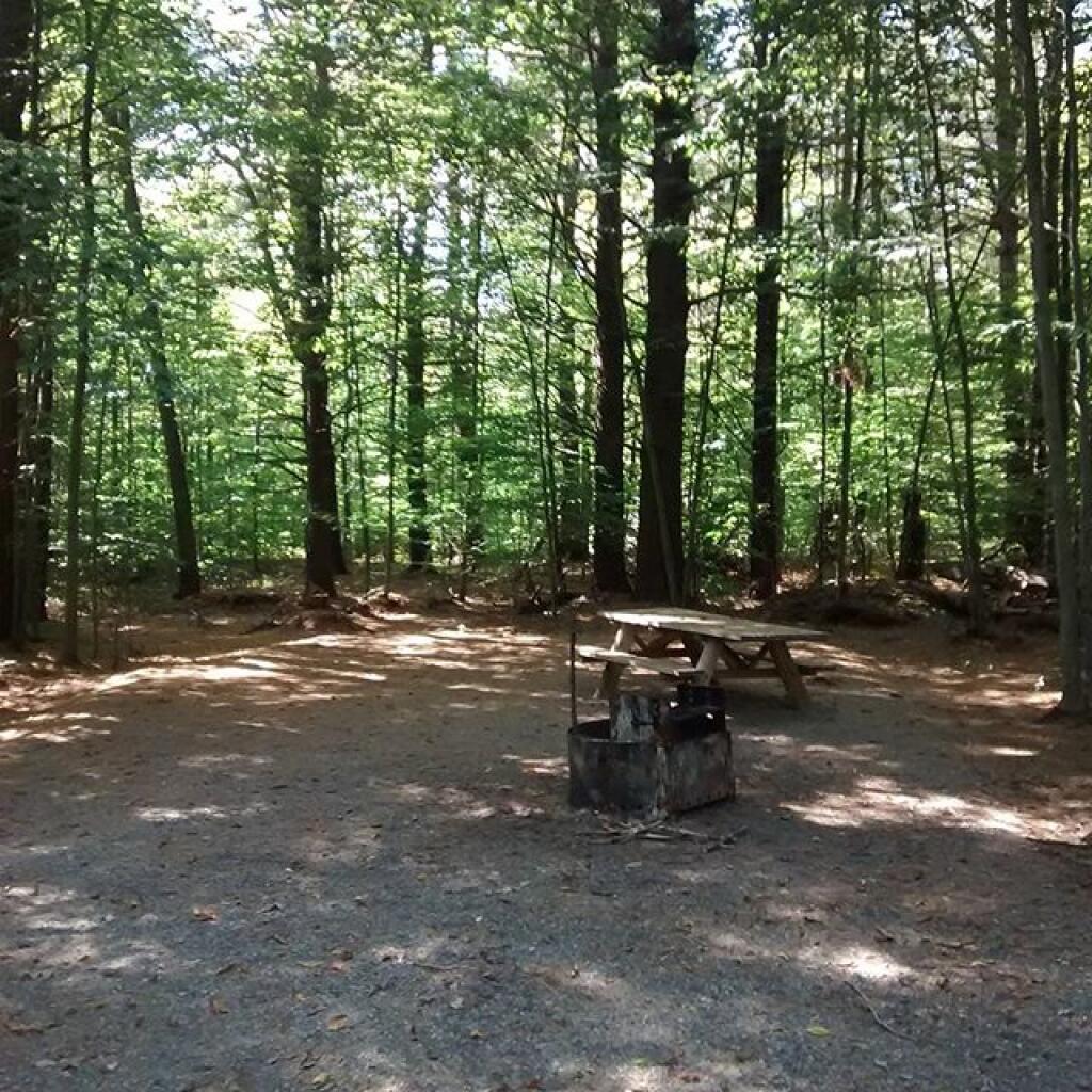 Photo: The new @NYSDEC campsites at Otter Creek are super nice. Photo: The new @NYSDEC campsites at Otter Creek are super nice.