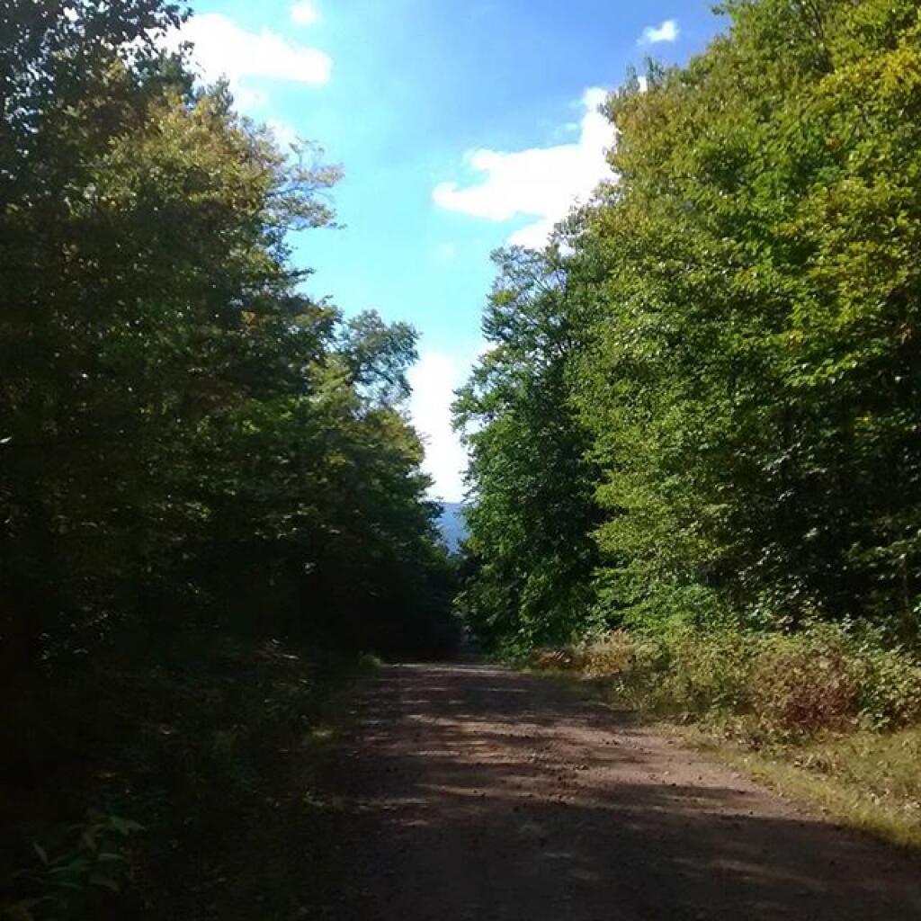 Photo: Eatonville Road from Camp, View of Tug Hill Plateau