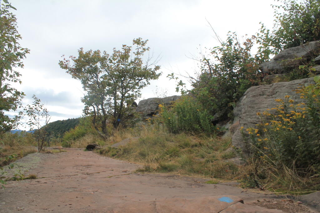 Photo: Below the Top of North Point