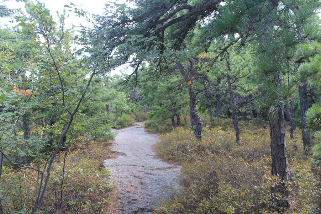 Photo: Highest Point in Massachusetts Photo: Highest Point in Massachusetts