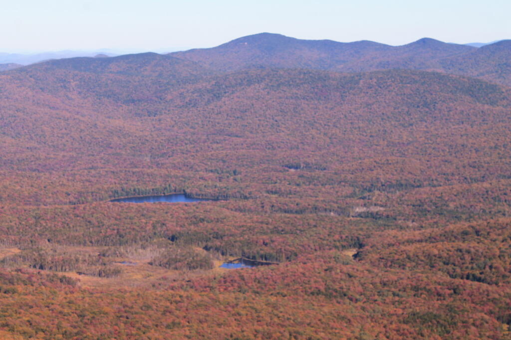 Photo: Little Moose Lake