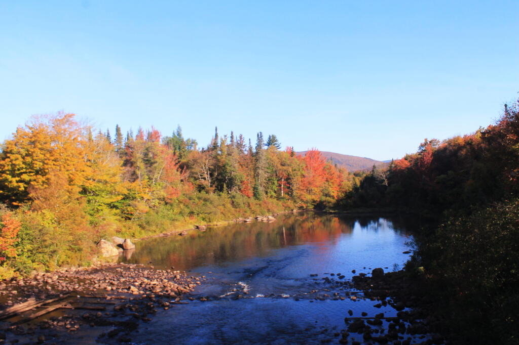 Photo: Cedar River from the Dam