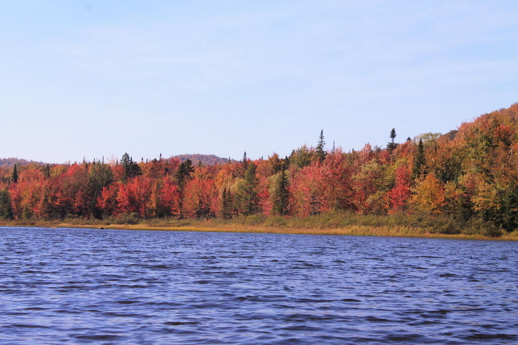 Photo: Shoreline