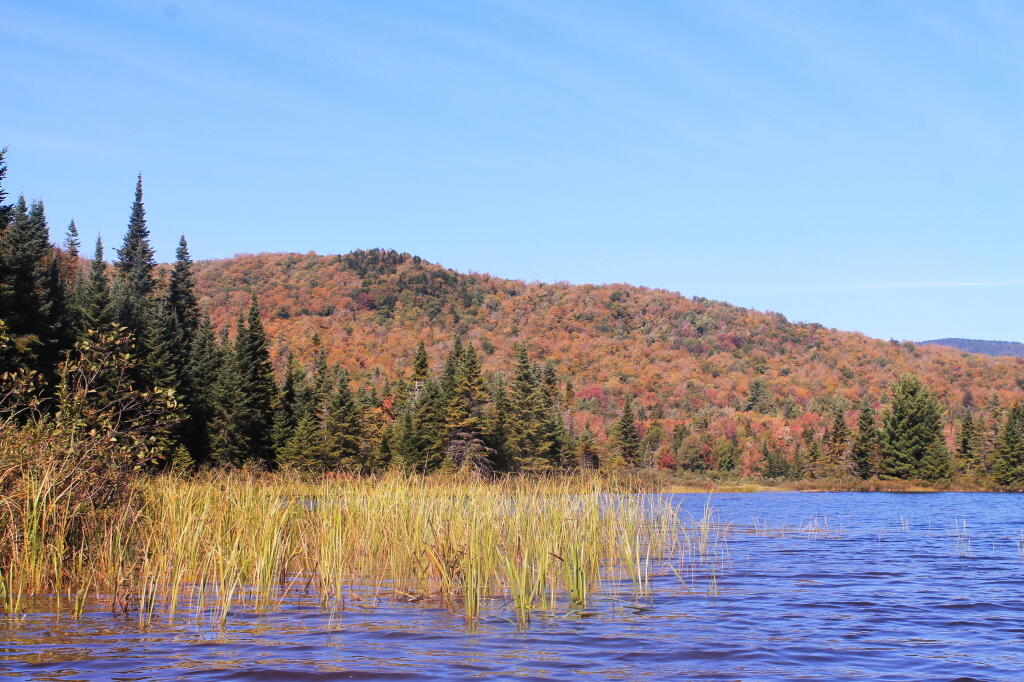 Photo: Sturges Hill Along Cedar River Flow