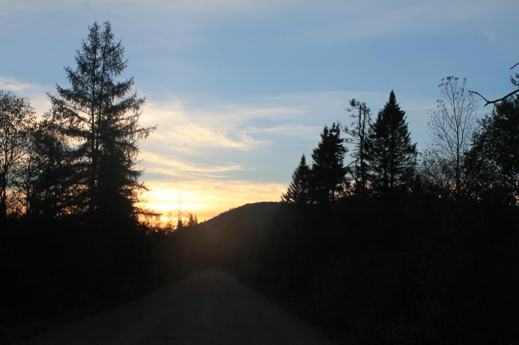 Photo: Dusk