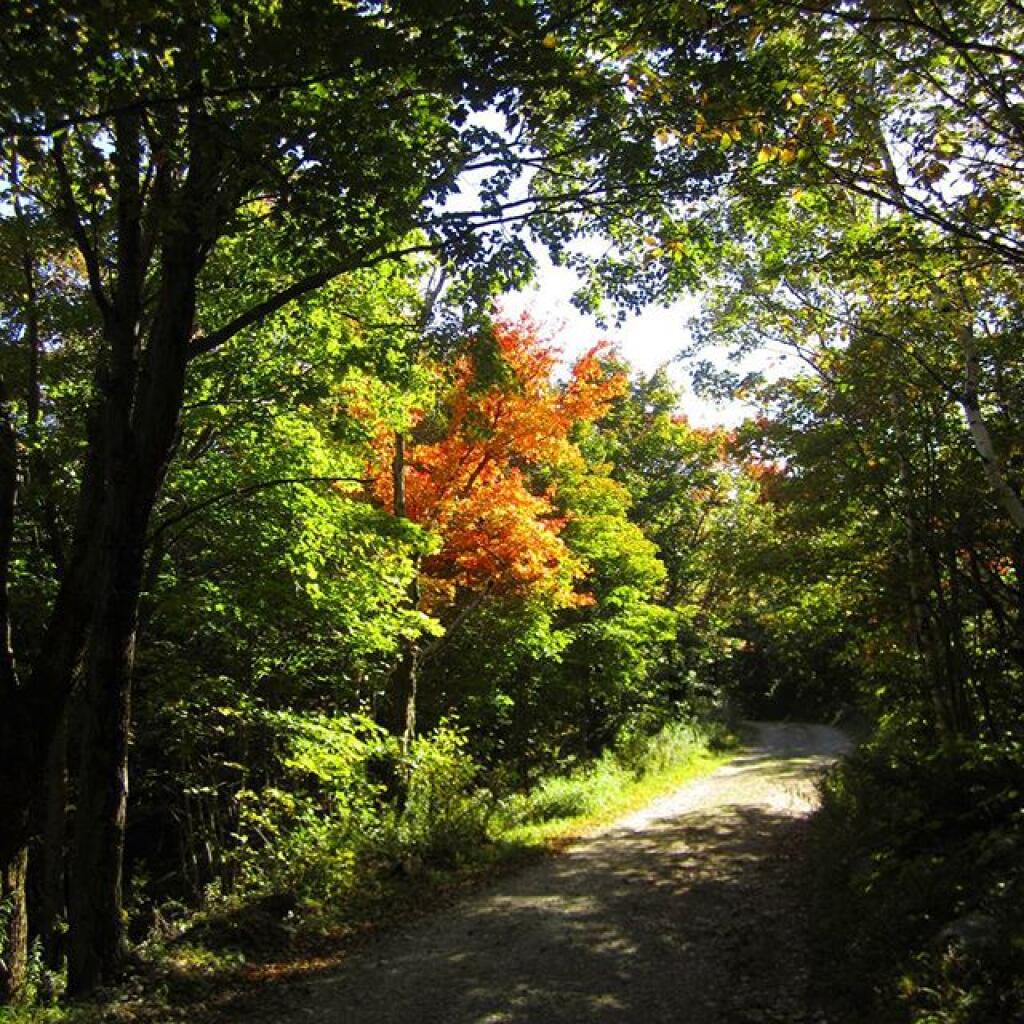 Photo: Hints of Fall on Mount Greylock