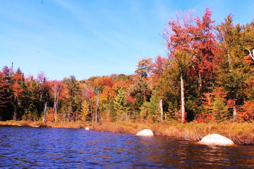 Photo: Rocks Along Shore