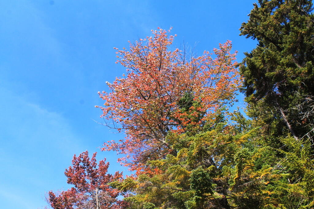 Photo: Photo.2013.09.20 14.05.52