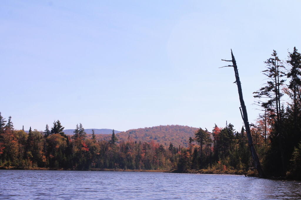 Photo: Wakely 2