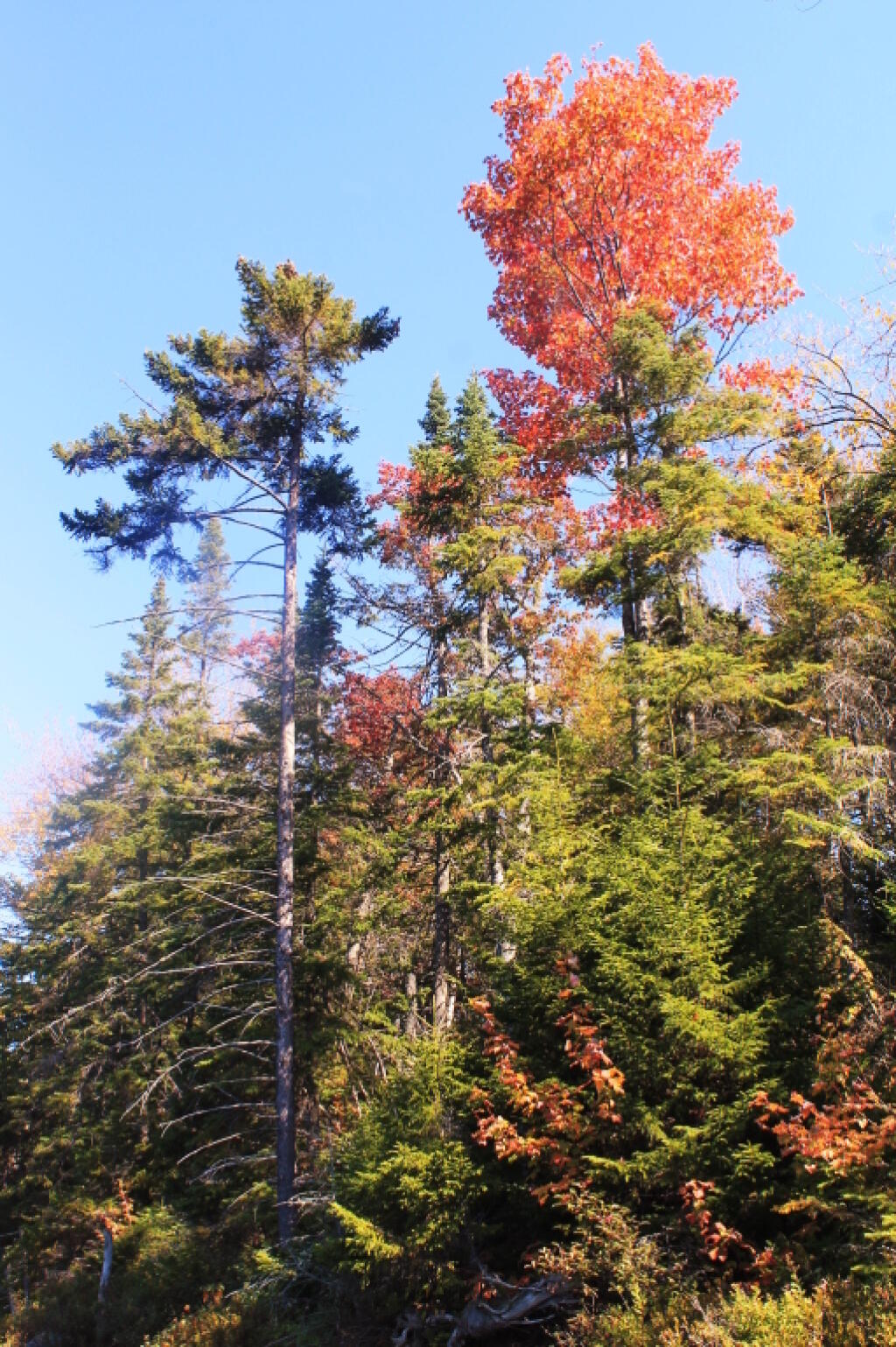 Photo: Change at the Top
