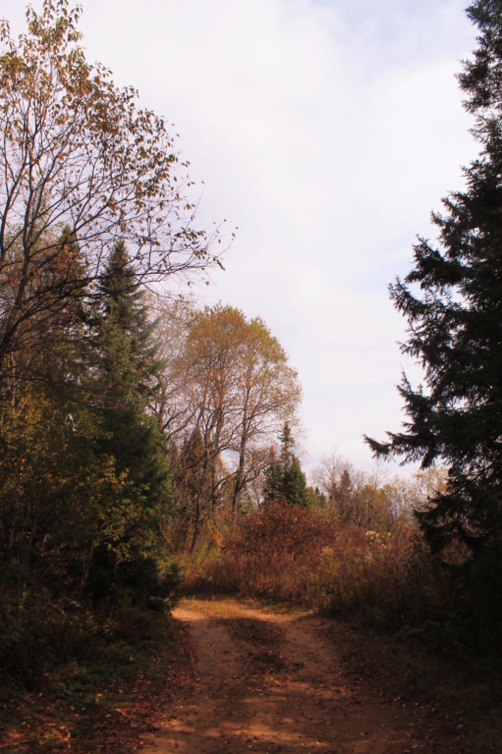 Photo: Driveway